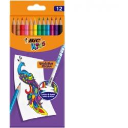 BIC Kids Evolution Illusion erasable pencil crayons box of 12 pcs